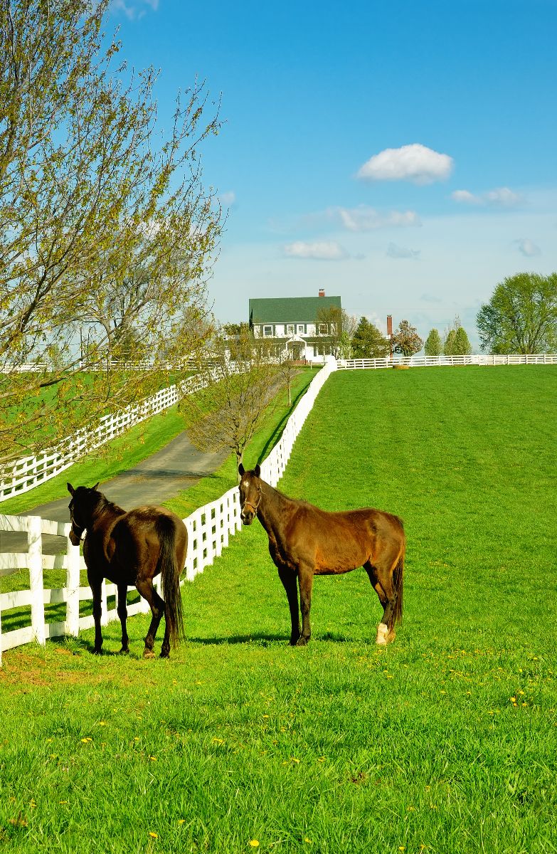 Radnor Hunt Real Estate Luxury Homes for Sale Malvern Newtown Square